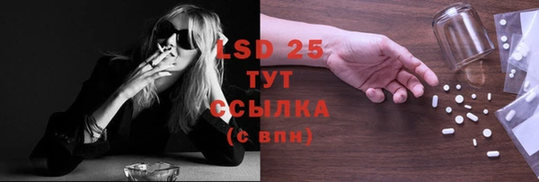 ПСИЛОЦИБИНОВЫЕ ГРИБЫ Алексеевка