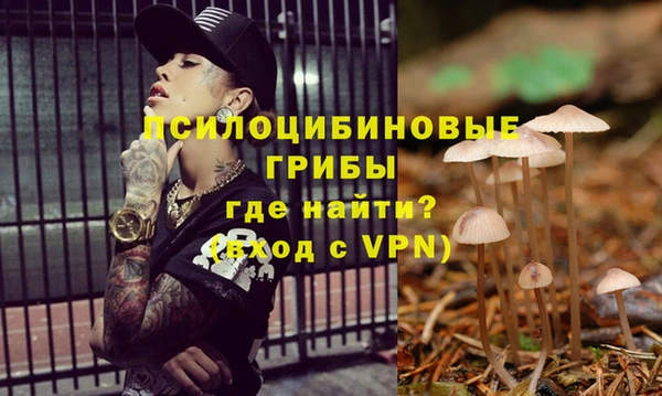 таблы Аркадак