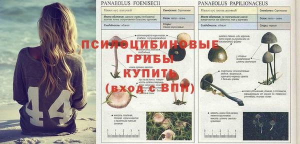 каннабис Гатчина