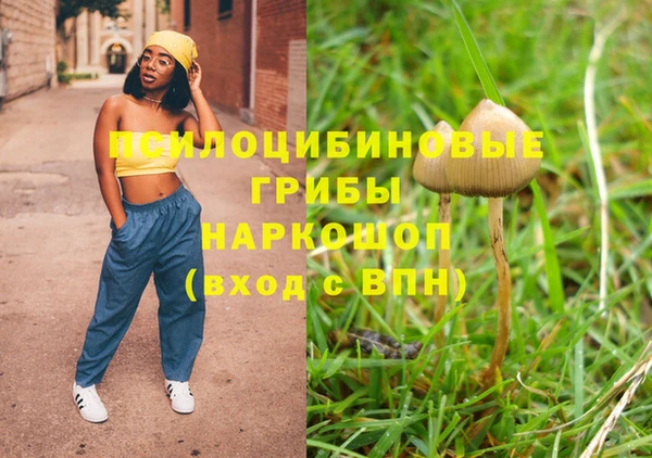 индика Галич