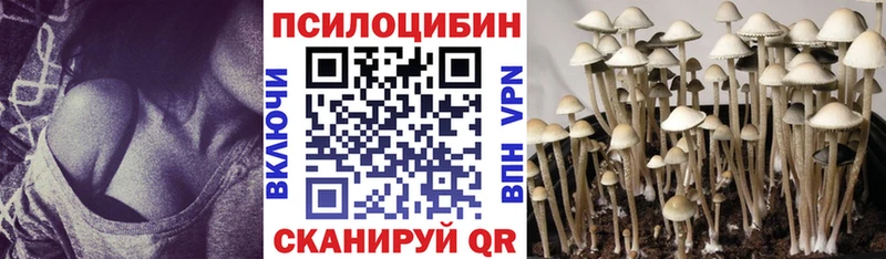 Галлюциногенные грибы прущие грибы  купить закладку  ссылка на мегу как зайти  Строитель 